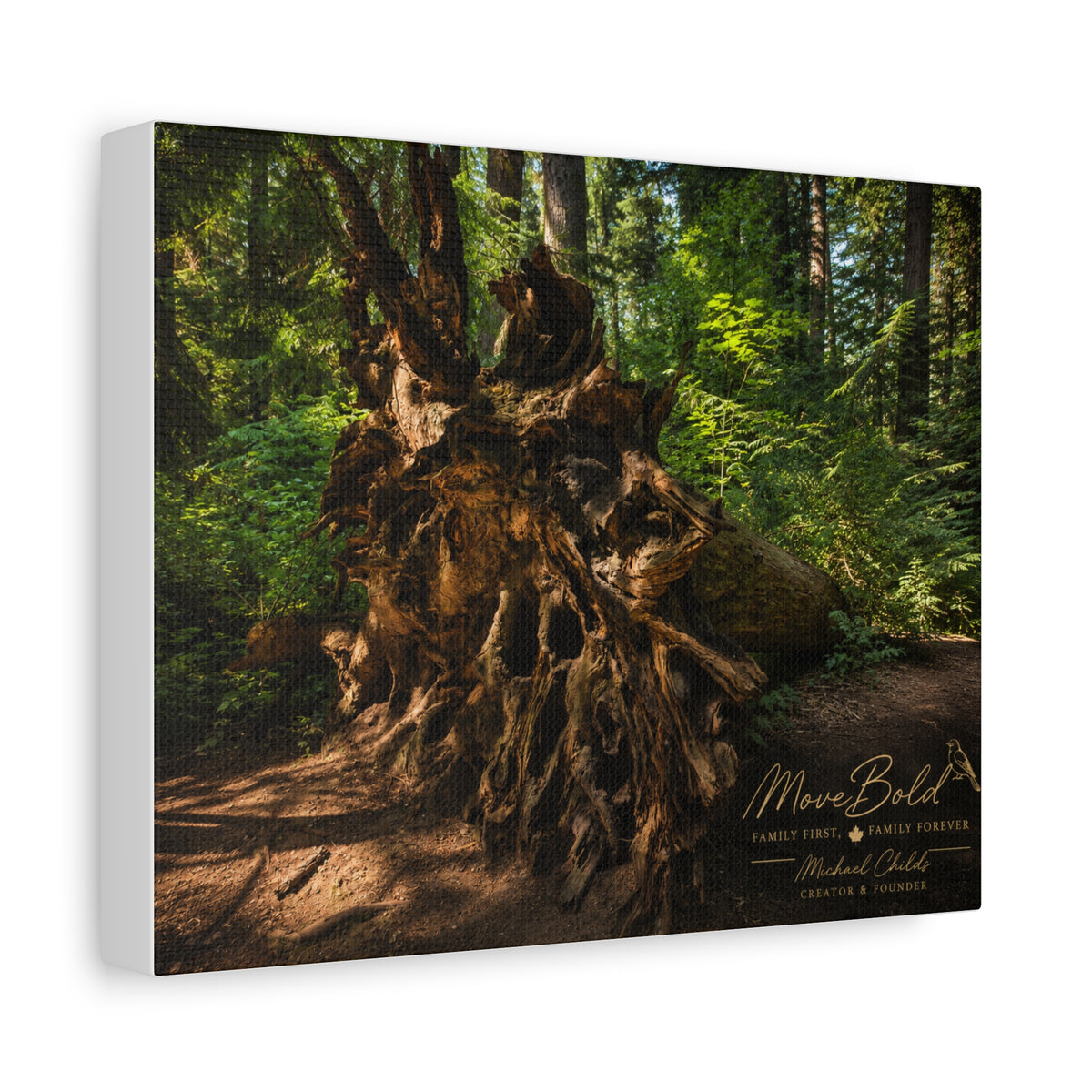 Mysterious.
tree Matte Canvas, Stretched, 1.25"