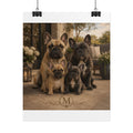 Rolled Posters
