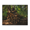 Mysterious.
tree Matte Canvas, Stretched, 1.25"