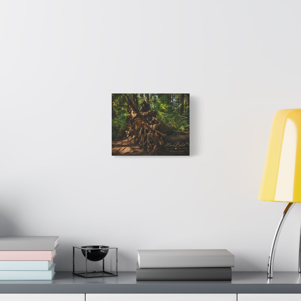 Mysterious.
tree Matte Canvas, Stretched, 1.25"